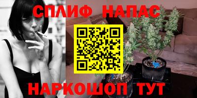 твердый Будённовск