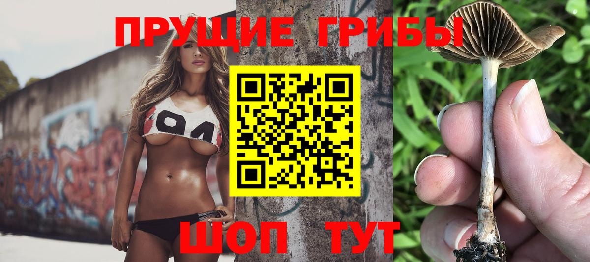 Новокузнецк  Галлюциногенные грибы Magic Shrooms  Псилоцибиновые грибы MAGIC MUSHROOMS  Вход с VPN 